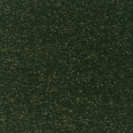 AAG1160TD/TWINKLE