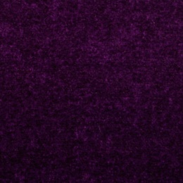 AAS0487/