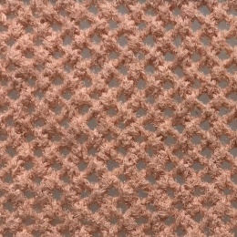 AAS0370/RAG