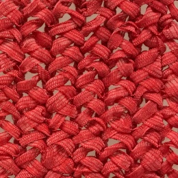 AAS0507/WEBBING